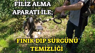 FİLİZ ALMA APARATI İle Fındık Dip Sürgünü Nasıl Temizlenir [upl. by Ness]