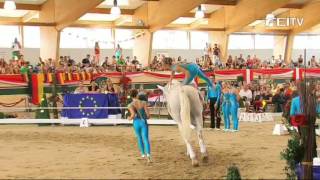 FEI European Vaulting Championships 2013  Junior Squad  Top 3 [upl. by Kuhlman]