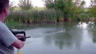 Strafer MKII firing 177 Steel BBs into a Pond [upl. by Walliw671]