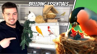 My Breeding Essentials for Finches amp Canaries [upl. by Kettie]