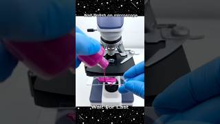 Nail Polish Microscopeൽ വെച്ചപ്പോൾ🤮😱💅 shortsvideo m4tech mrzthoppi [upl. by Iatnwahs]