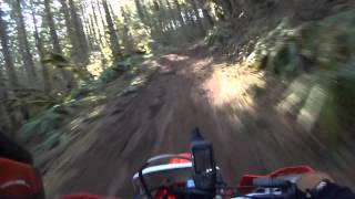 Wilimina Ride  Elk Flats Trails Riding [upl. by Dorej567]