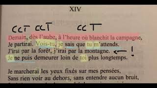 Demain dès l’aube Victor Hugo Analyse Linéaire  Bac De Français [upl. by Crissie]