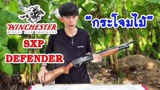 รีวิวลูกซอง Winchester SXP Defender กระโจมไม้ [upl. by Ecyar]