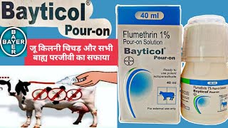 Bayticol pour on how to use  flumethrin 1 wv uses in hindi  veterinarymedicinereviewhindi [upl. by Magner]