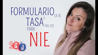 FORMULARIO Y TASA PARA NIE [upl. by Xirtaeb]