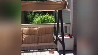 DIY Making a Canopy Swing Cover Top for a 3 man Swing Part 1 amp 2 [upl. by Concordia590]