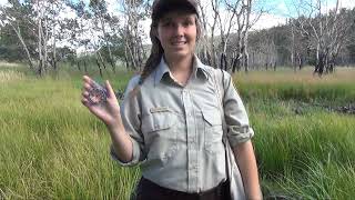 Fire Ecology Transect Line Procedures  Rocky Mountain National Park [upl. by Nannie452]