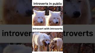 Introvert Memes  Funny Introvert Memes Compilation MEMES Shorts 232 [upl. by Tihom]