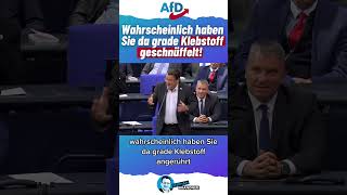 Brandner bringt alle zum Lachen afd deutschland politik rede nachrichten demokratie shorts [upl. by Ycam]