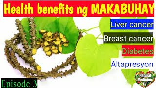 Panyawan  Makabuhay health benefits [upl. by Fante942]