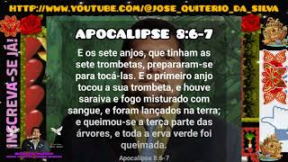 APOCALIPSE 867 José Quiterio JOSEQUITERIODASILVA [upl. by Lorita212]