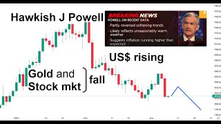 Gold amp Stock down J Powell speech 8 Mar 2023 [upl. by Anahcra]