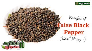 வாய்விளங்கம் மருத்துவ பயன்கள்  Benefits of Embelia Ribes false black pepper  EP 44  12042019 [upl. by Alra]