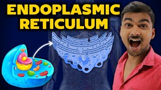 Complete Endoplasmic Reticulum Only In 6 Minutes  In Hindi [upl. by Ryder]