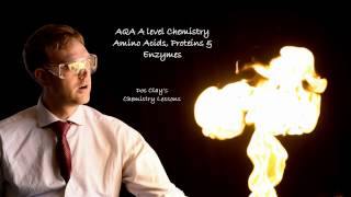 AQA Alevel Chemistry  Amino Acids Proteins amp Enzymes [upl. by Darrill]