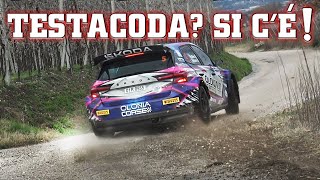 Rally del Bardolino 2024 quotTeribbbileequot [upl. by Mcdermott]