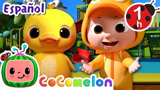 ¡CoComelon  DIEZ PATITOS  Canciones Infantiles en Español Latino [upl. by Ahsennod]