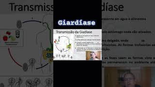 Giardíase biology biologia enem bio curiosidades shortvideo revisãoenem shortsvideo enem24 [upl. by Yelahc122]