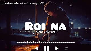 Roi Na Lofi song  SlowedReverb   ninja ‎LOFIMusic0304 [upl. by Novrej]