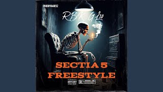 Sectia 5 Freestyle feat GL10 amp raresz [upl. by Gnemgnok215]