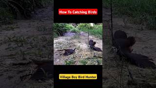 How To Catching Birds  How To Hunt Birds  Bird Hunting  Bird Trap  Birds Story [upl. by Graner952]