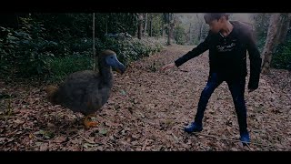 The Dodo  Short Film [upl. by Hebel]