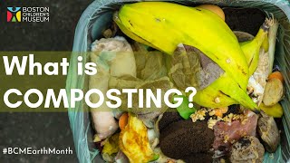 What is Composting and How Does it Work [upl. by Ives]