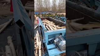 Fast debarking for wood logs To know how to peel log timbers with machines [upl. by Briana]