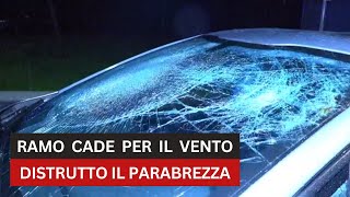 Gorla Varese grosso ramo cade per il vento e infrange il parabrezza di unauto di passaggio [upl. by Perloff]