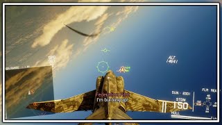 Project Wingman Review Stream Part 2 [upl. by Acirdna]