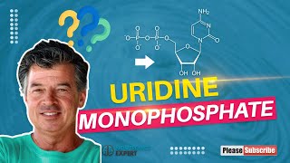 Uridine Monophosphate [upl. by Donata]