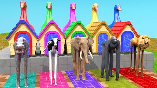 5 Giant Duck Cartoon Cow Elephant Lion Gorilla Hippo Transfiguration Funny New 3D Animal Game [upl. by Jewel789]