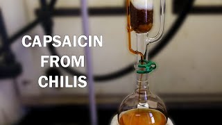 How to extract capsaicinoids from chili peppers [upl. by Sutphin]