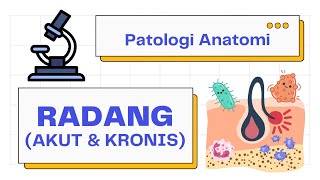 Radang Inflamasi Akut Kronis Granuloma  Patologi Anatomi 101 [upl. by Moritz]