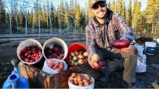 Annual Potato Harvest Planting Garlic amp Putting the Garden to Bed  Saying Goodbye to a Friend [upl. by Cassey]