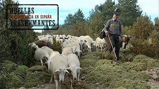 LA CABAÑERA DEL PIRINEO ARAGONÉS trashumancia THE LIVESTOCK TRAIL OF THE ARAGONESE PYRENEES [upl. by Otreblasiul]