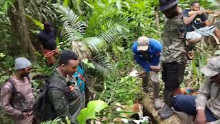 My experience at the Hunters Association of Trinidad amp Tobago Annual Agouti Field Trial [upl. by Dorey]