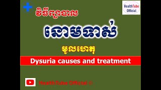 នោមទាស់ មូលហេតុនិងវិធីព្យាបាល l Dysuria causes and treatment l នោមទាស់ l HealthTube Offical [upl. by Philis630]