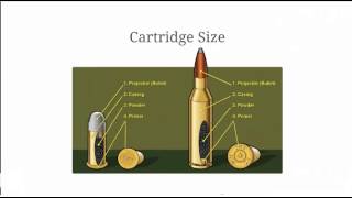 Bullet Comparison  Calibers and Bullet Measurements Explained [upl. by Suiradal208]