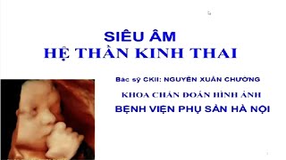 Siêu âm HỆ THẦN KINH THAI sinh lý và bệnh lý  BS CKII Nguyễn Xuân CHường  Lớp SA ĐH Y HN [upl. by Hyacintha]