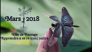 🌛🌚🌜 Guidance nouvelle lune du 17 mars au 15 avril 2018  se reconnaître [upl. by Ipoillak265]