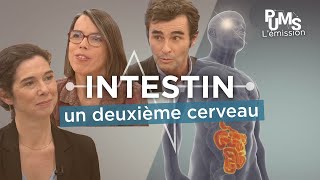 Soigner son intestin et son microbiote pour une meilleure santé  L’importance du dépistage [upl. by Nogas980]