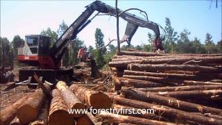 2003 Prentice 384 TMS Loader for Sale at wwwforestryfirstcomwmv [upl. by Akihdar]