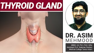 Endocrinology  Biology of Thyroid Gland Parathyroid Gland  Hindi  Urdu [upl. by Tchao]