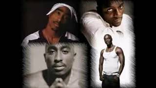 2pac ft akon troublesome dj moey remix 2016 version [upl. by Strong497]