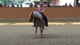 NRHA 2010 Emanuel Ernst mit Haflinger Nico [upl. by Anirret398]