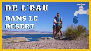 Dans le désert des Mojaves Herping Las Vegas Épisode 4 [upl. by Valentia]