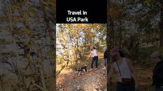 Thacher Park New York । shorts youtubeshorts travel park usa [upl. by Rahsab461]