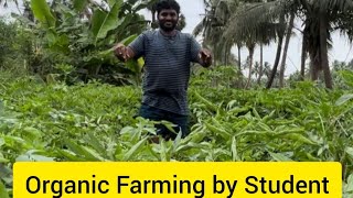 Organic Farming By Student [upl. by Anselme]